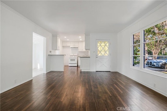 unfurnished living room with sink, crown molding, and dark hardwood / wood-style floors