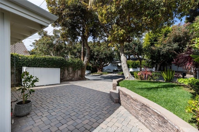 surrounding community with a patio and a lawn