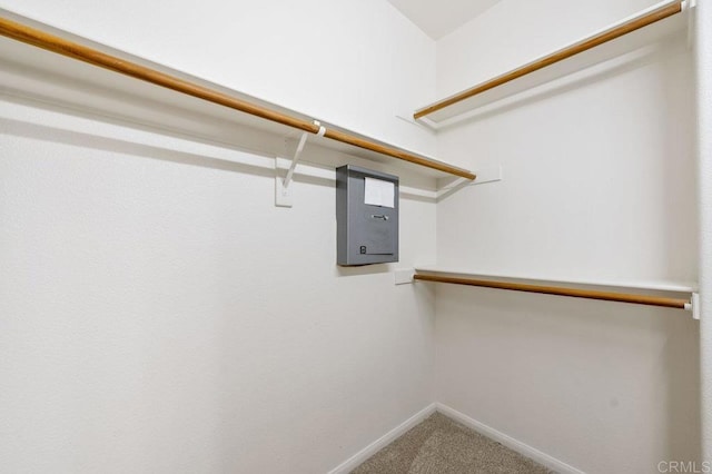 spacious closet with electric panel and carpet flooring