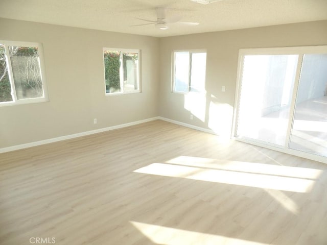 unfurnished room featuring light hardwood / wood-style floors and ceiling fan