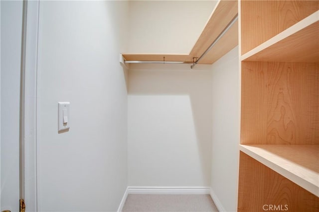 view of spacious closet