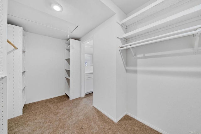 walk in closet featuring light carpet and attic access