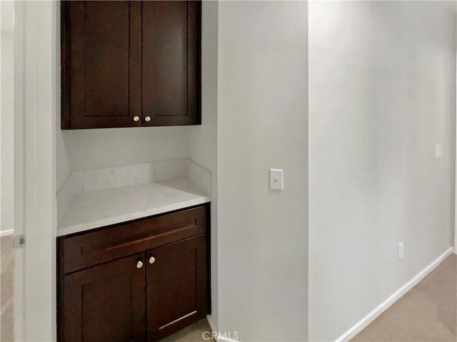 interior space with light carpet and dark brown cabinets