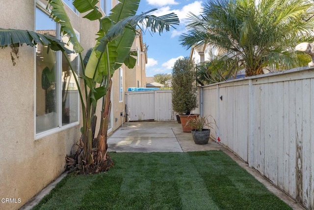 view of yard featuring a patio area