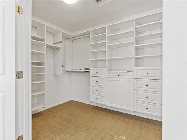 spacious closet with light colored carpet