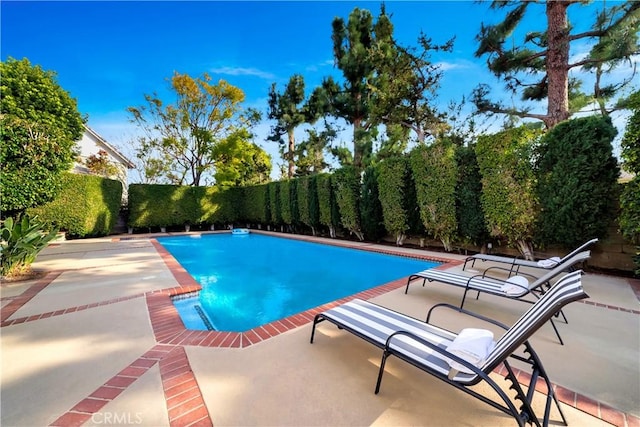 view of swimming pool featuring a fenced backyard, a patio area, and a fenced in pool