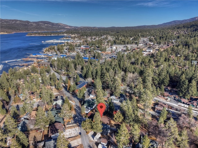 birds eye view of property featuring a water and mountain view