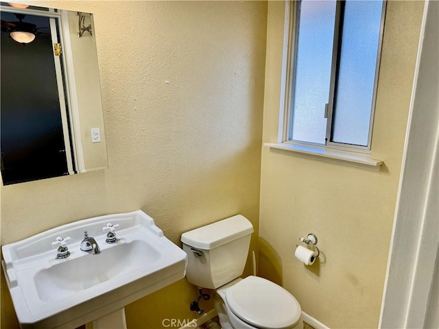 bathroom featuring toilet, a sink, and a textured wall