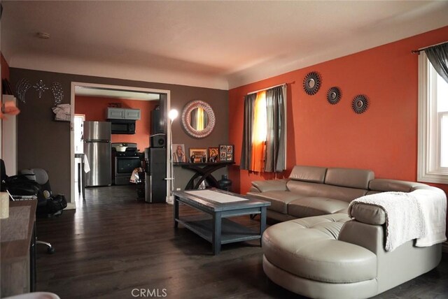 living room featuring dark hardwood / wood-style flooring