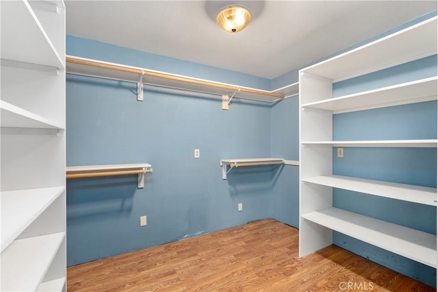 walk in closet with hardwood / wood-style floors