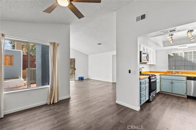 kitchen with sink, dark wood-type flooring, appliances with stainless steel finishes, a textured ceiling, and vaulted ceiling