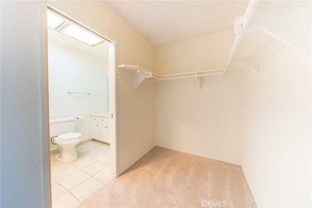 spacious closet featuring light carpet