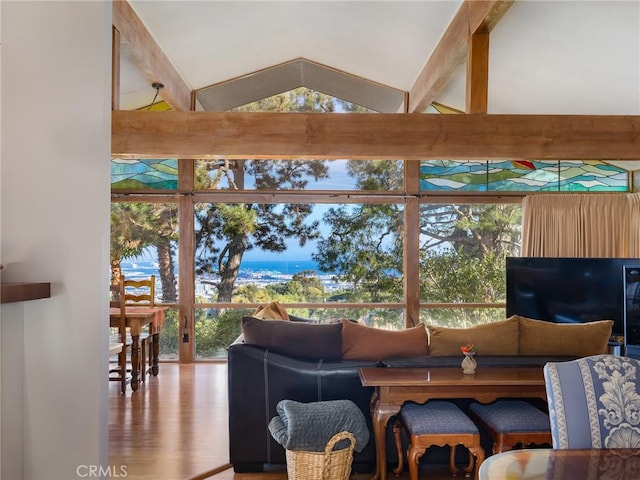 living room with a wall of windows, lofted ceiling, wood-type flooring, and a wealth of natural light