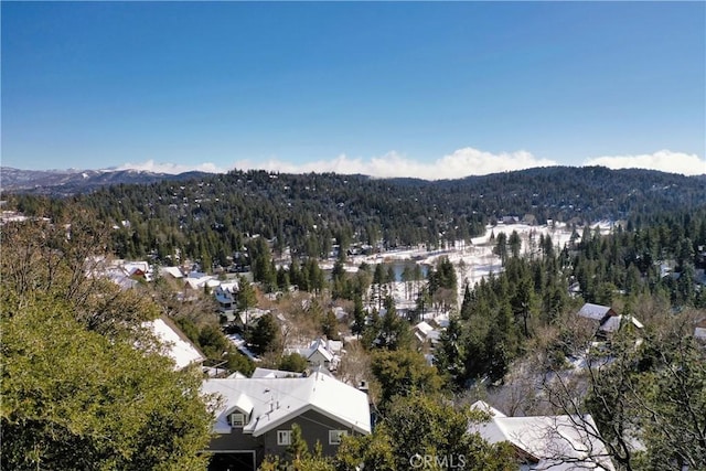 bird's eye view
