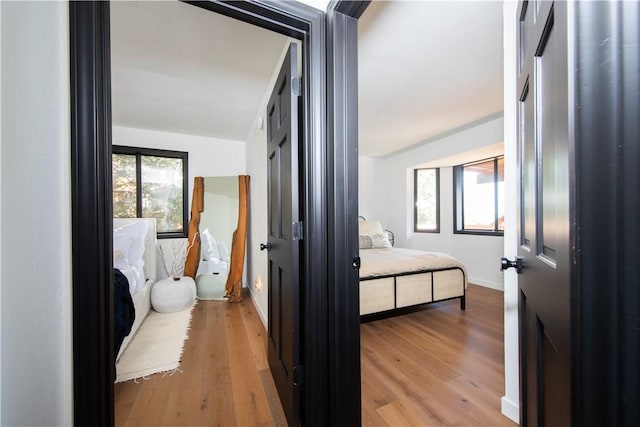 bedroom featuring multiple windows and light wood-type flooring