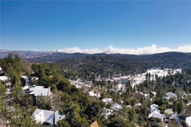 birds eye view of property with a mountain view
