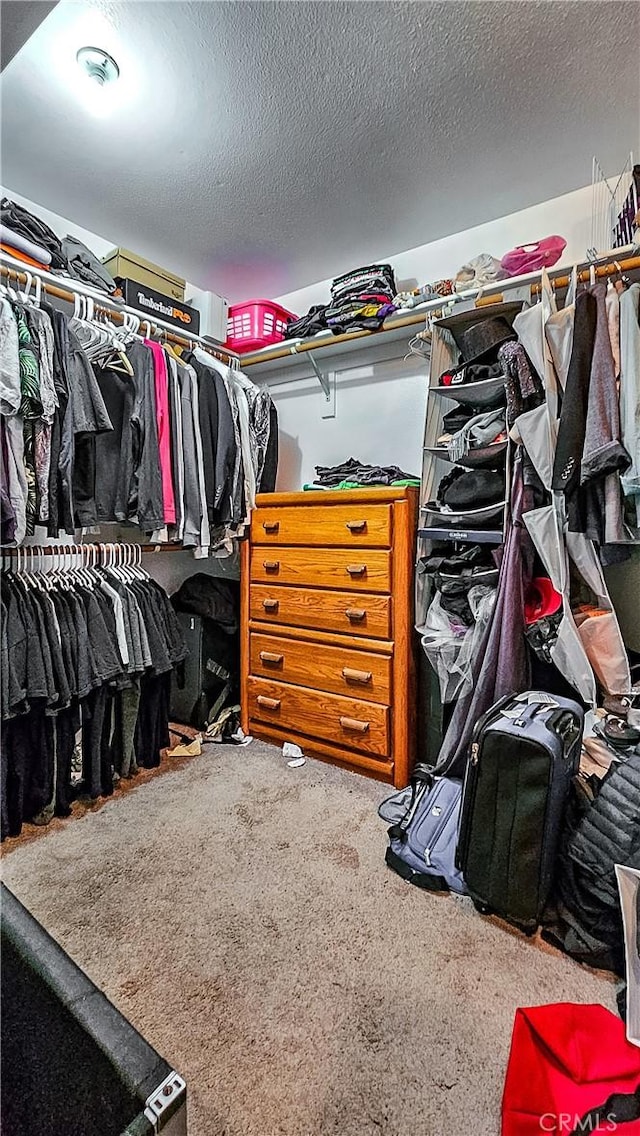 spacious closet featuring carpet