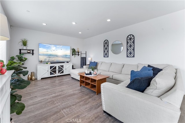 living room with wood-type flooring