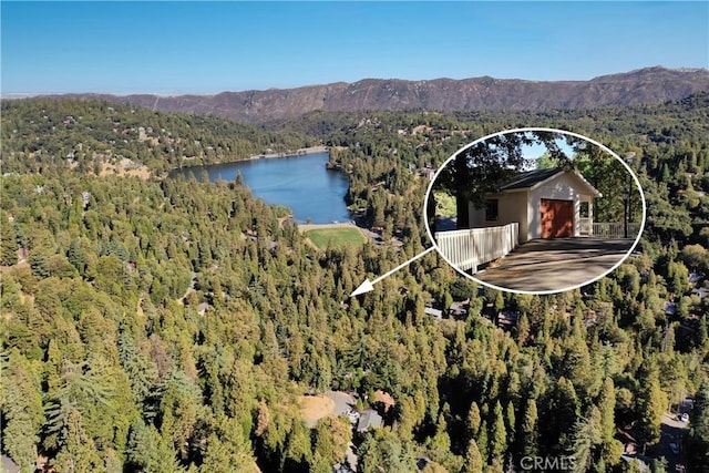 birds eye view of property featuring a water and mountain view