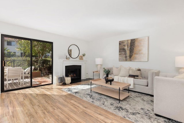 living room featuring hardwood / wood-style floors