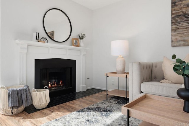 living room featuring hardwood / wood-style floors