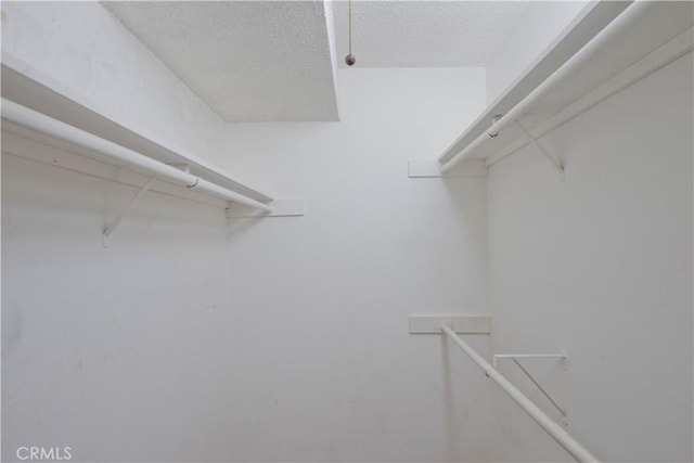 23515 Lyons Ave Unit 228, Valencia, CA 91355 - view of spacious closet