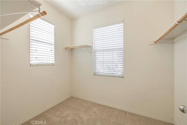 22059 Barrington Way, Saugus, CA 91350 - walk in closet with light colored carpet