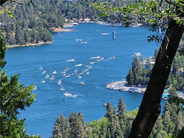 579 E Victoria Ct, Lake Arrowhead, CA 92352 - water view featuring a view of trees