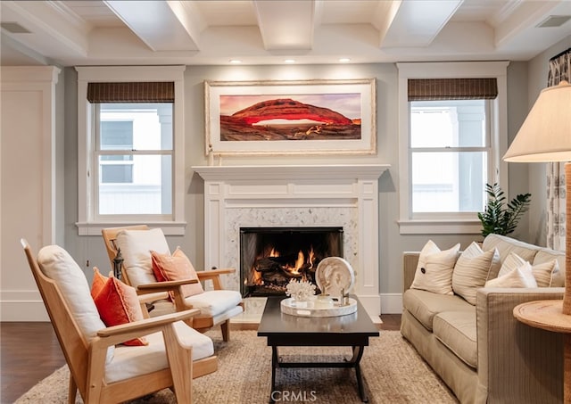 living area with hardwood / wood-style floors, a premium fireplace, and a healthy amount of sunlight