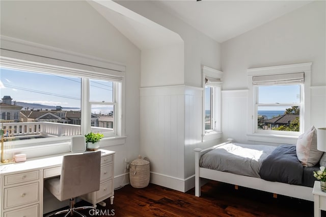 bedroom with lofted ceiling and dark hardwood / wood-style flooring