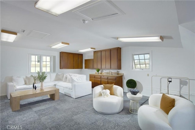 carpeted living room featuring a healthy amount of sunlight