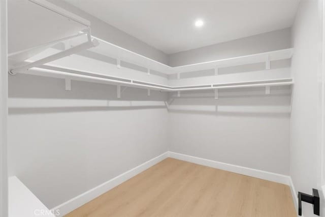 walk in closet with hardwood / wood-style floors