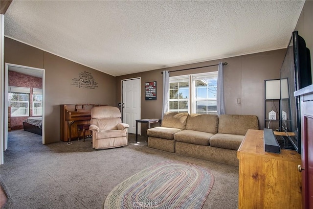 living room featuring carpet floors, a textured ceiling, vaulted ceiling, and a healthy amount of sunlight