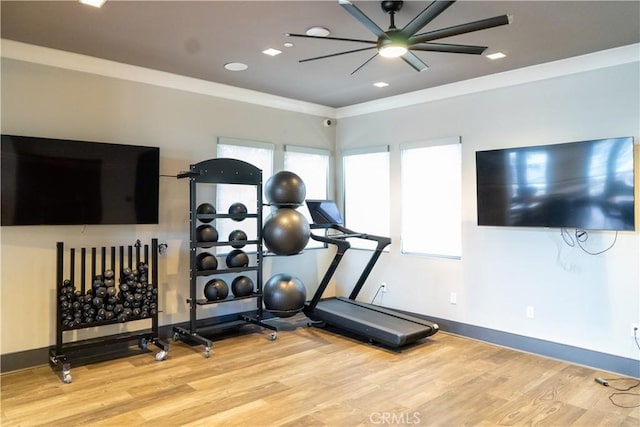 workout area with crown molding, light hardwood / wood-style floors, and ceiling fan