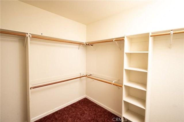 spacious closet with carpet floors