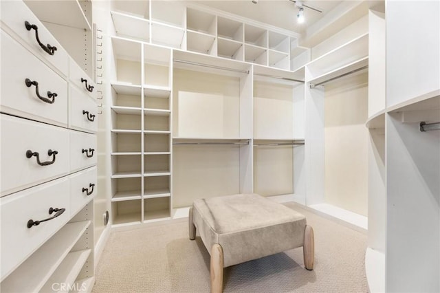 212 John St, Manhattan Beach, CA 90266 - spacious closet with light colored carpet