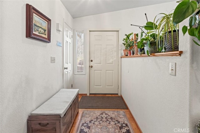 doorway to outside featuring light hardwood / wood-style flooring