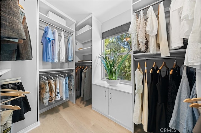 spacious closet featuring light wood finished floors