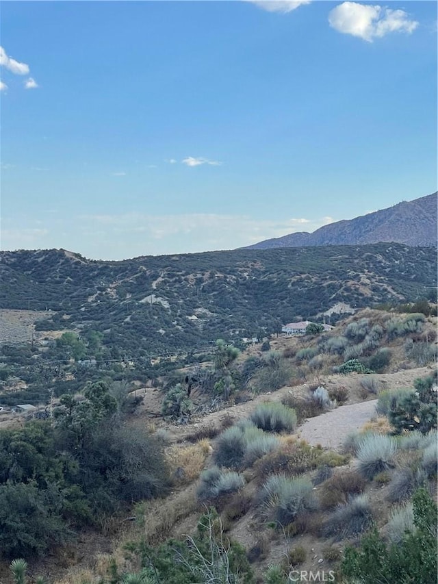 Listing photo 3 for 8320 Zohra Canyon Rd, Pinon Hills CA 92372