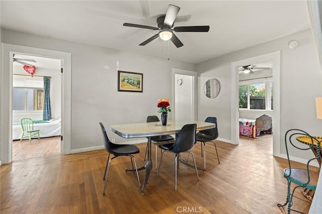 dining area with wood-type flooring