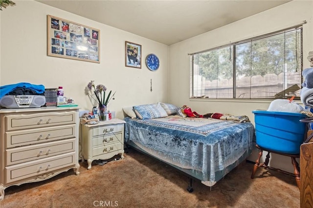 1062 Humboldt Ave, Chico, CA 95928 - view of carpeted bedroom
