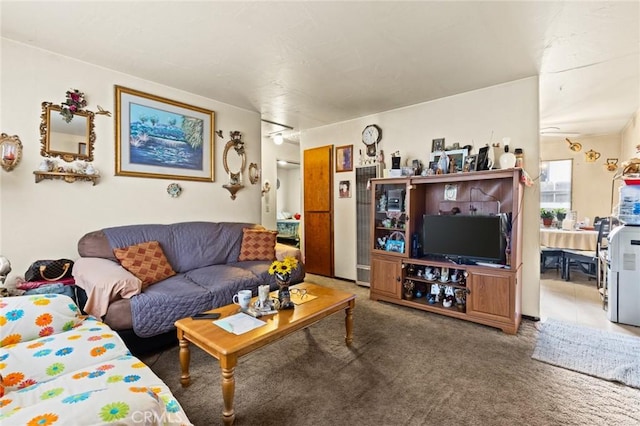 1062 Humboldt Ave, Chico, CA 95928 - living room with dark colored carpet