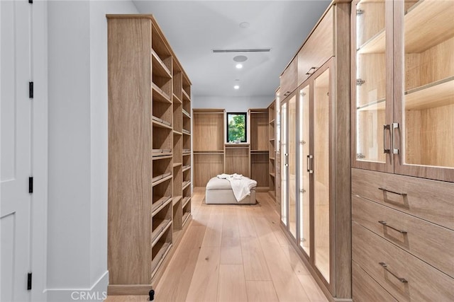 spacious closet with light wood-type flooring