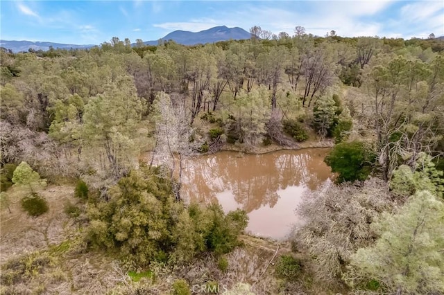 drone / aerial view with a water and mountain view