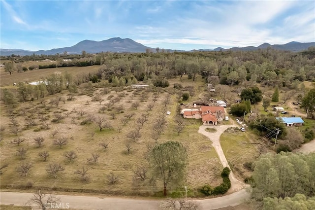 birds eye view of property featuring a mountain view