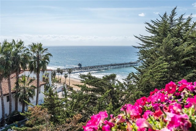 view of water feature with a view of the beach