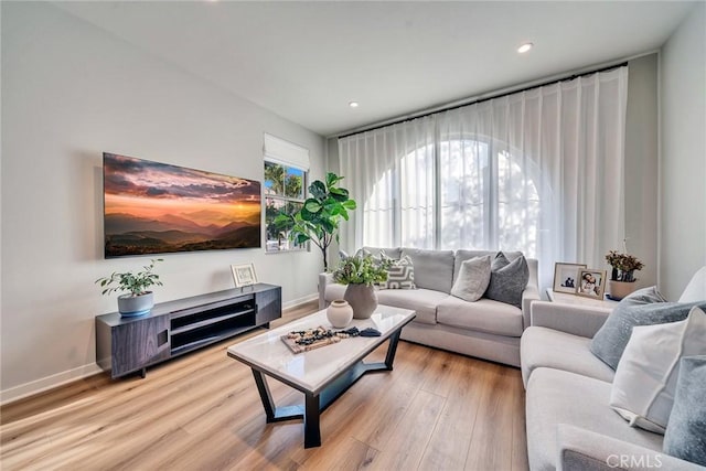 living room with wood-type flooring