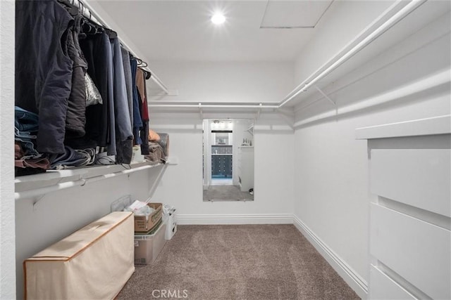 walk in closet featuring light carpet