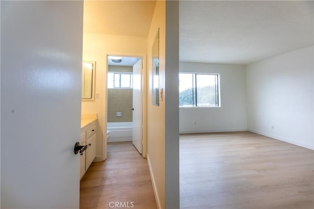 corridor featuring light hardwood / wood-style flooring and a wealth of natural light