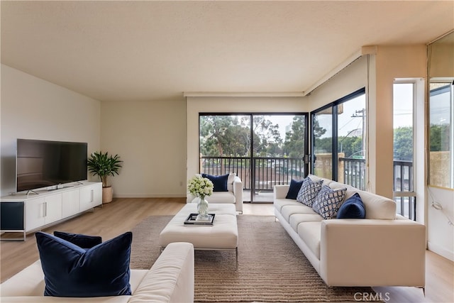 living room featuring light wood-type flooring